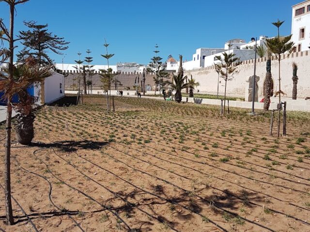 Bar Orson Welles - Essaouira - +212 5247-83636