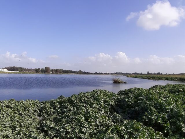 Marja - المرجة - Kénitra -