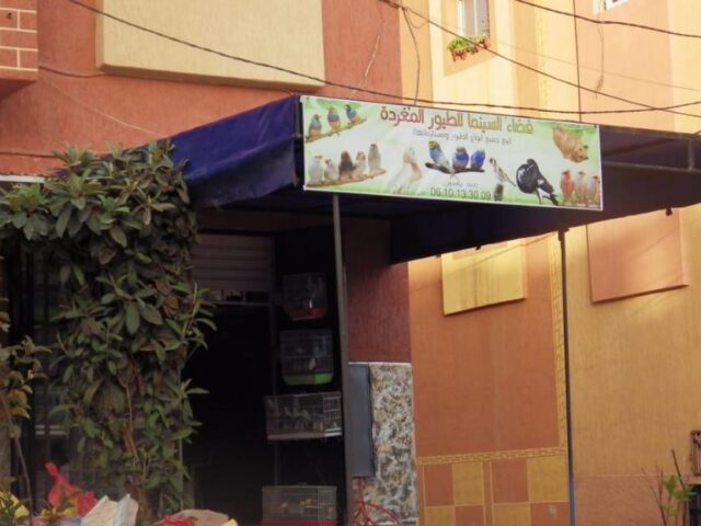 جمعية النسيم للكراطي Ennassime De Karate - Azilal - +212 691-922405