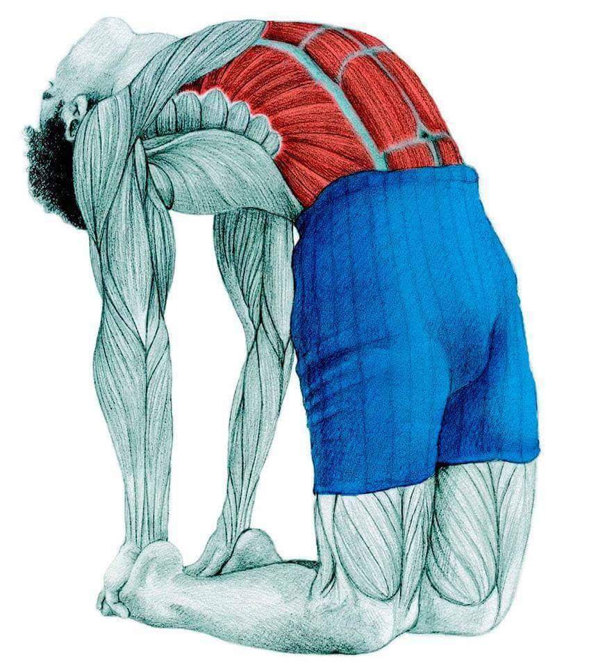 cabinet de kinesitherapie عيادة الترويض الطبي - Jorf El Melha