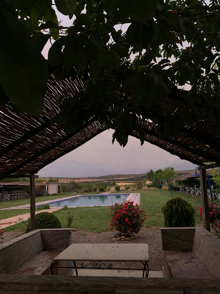 Ferme d'Hôte Laanoucer: Piscine