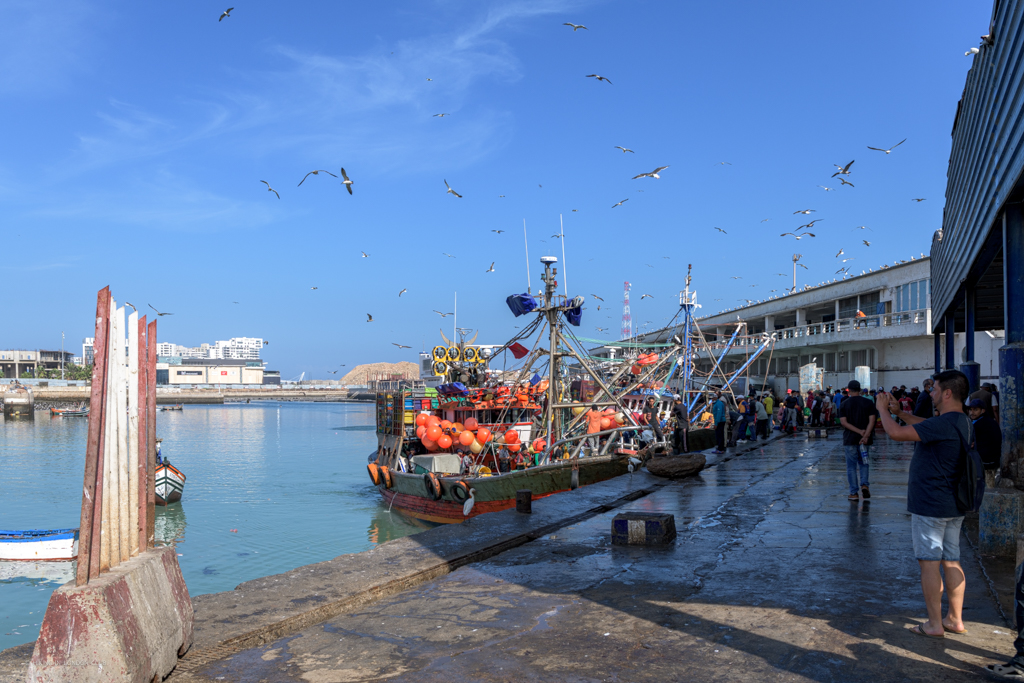 Port de Casablanca - Casablanca
