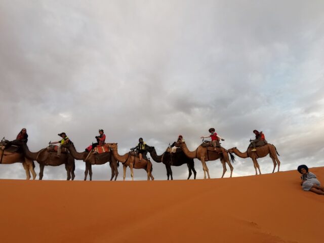 mamaco tour - Fès - +212 611-620323