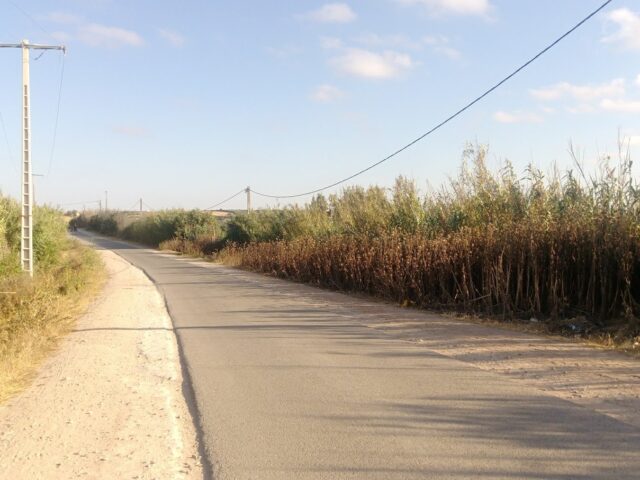 Maachate -  -