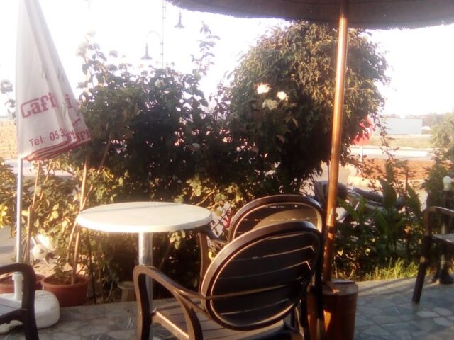 Café Ajdir - Ajdir -