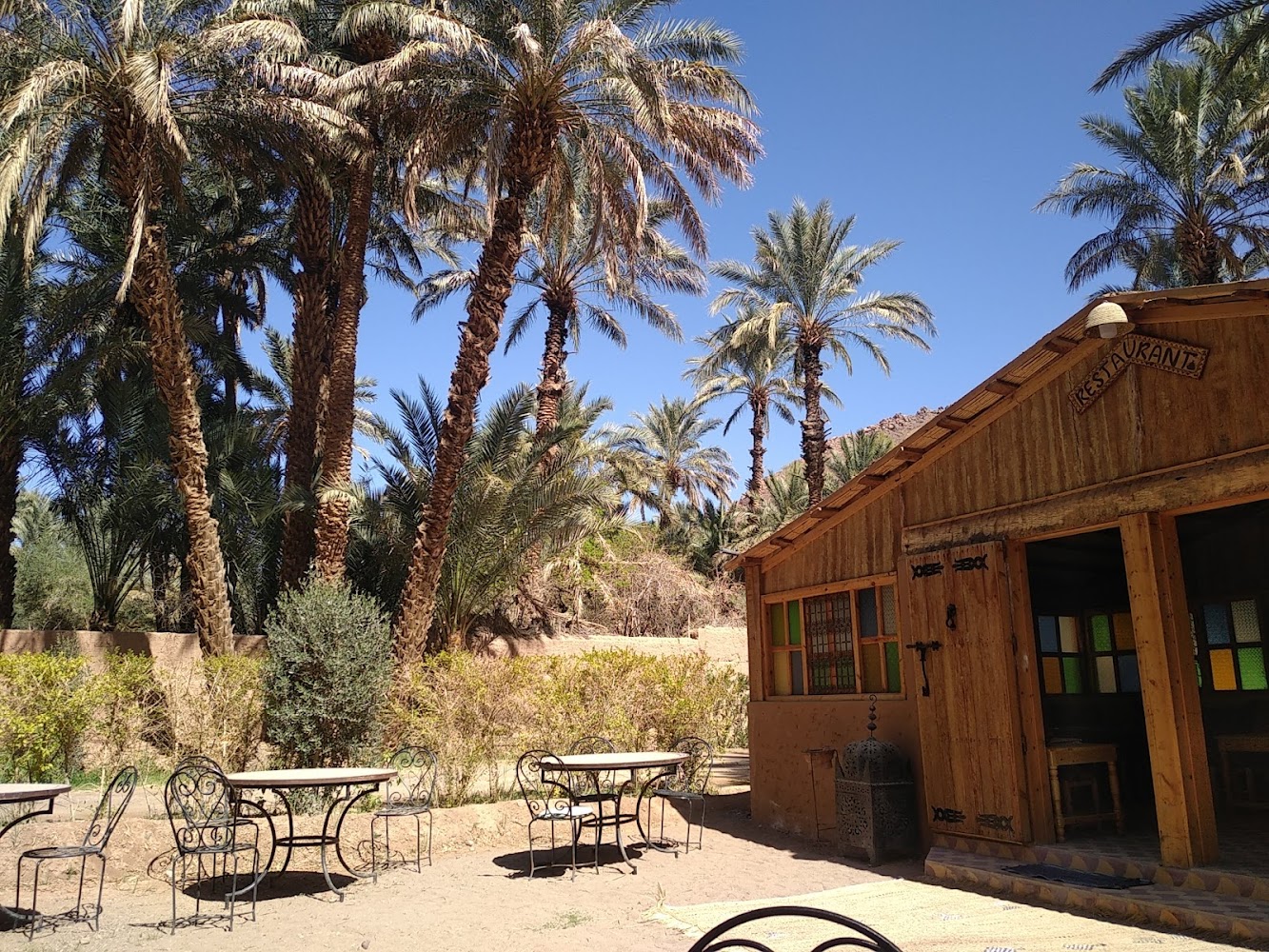 Camping Palmeraie d'Amezrou - Zagora