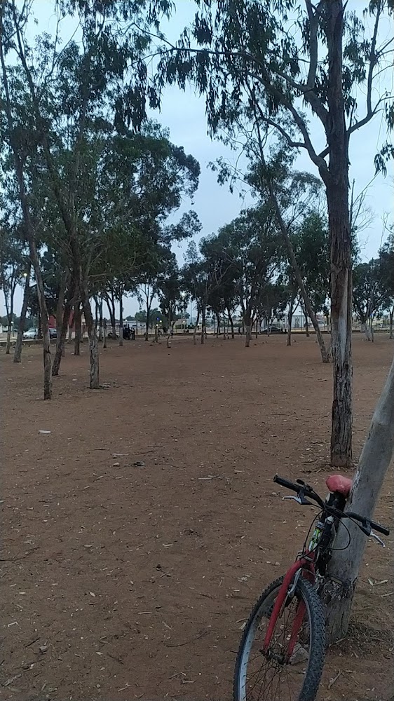 La cité sidi bennour - Sidi Bennour -