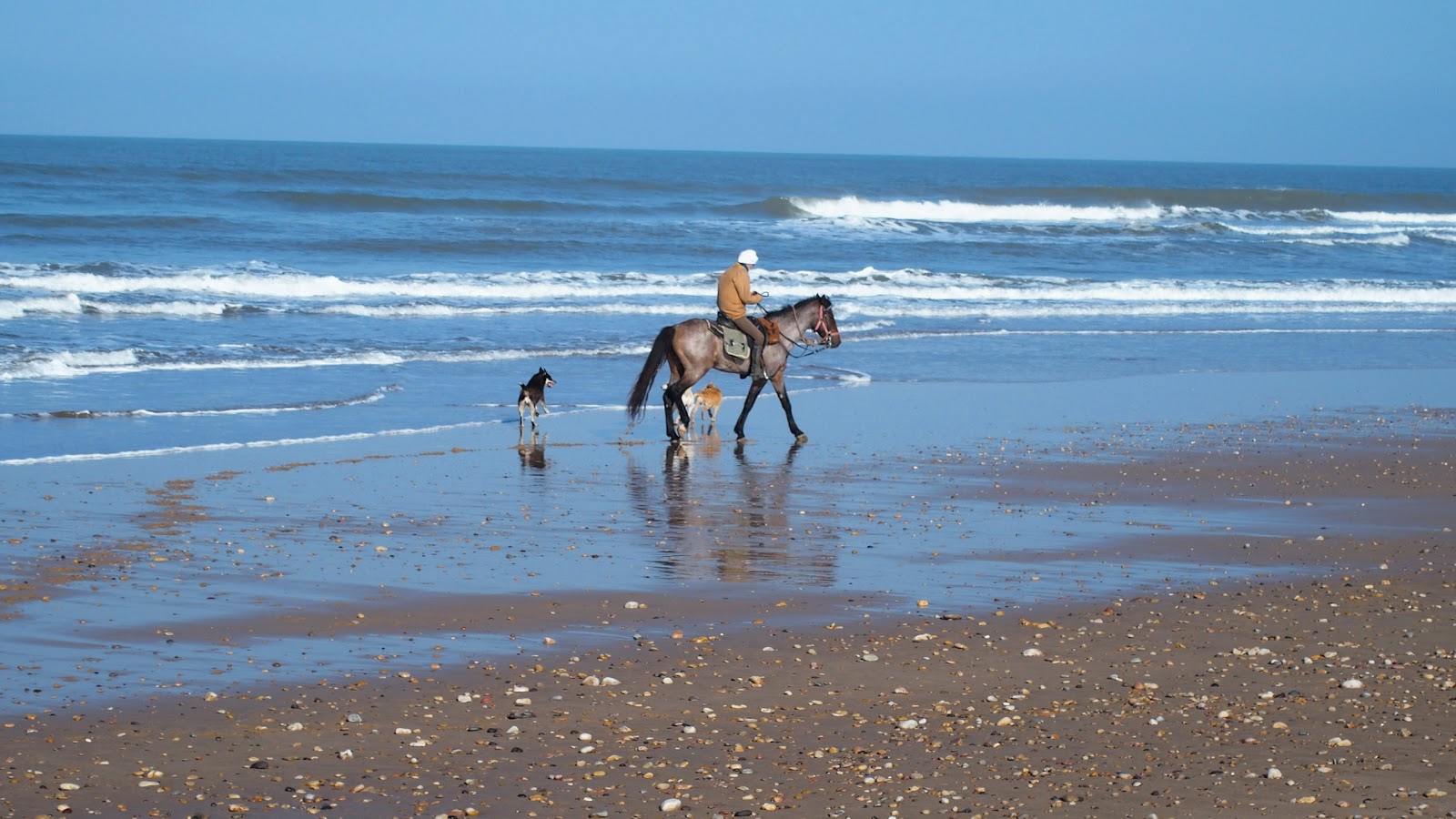 Randonnées Equestres - Essaouira