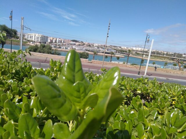 Rabat ville City photo tout - Rabat -