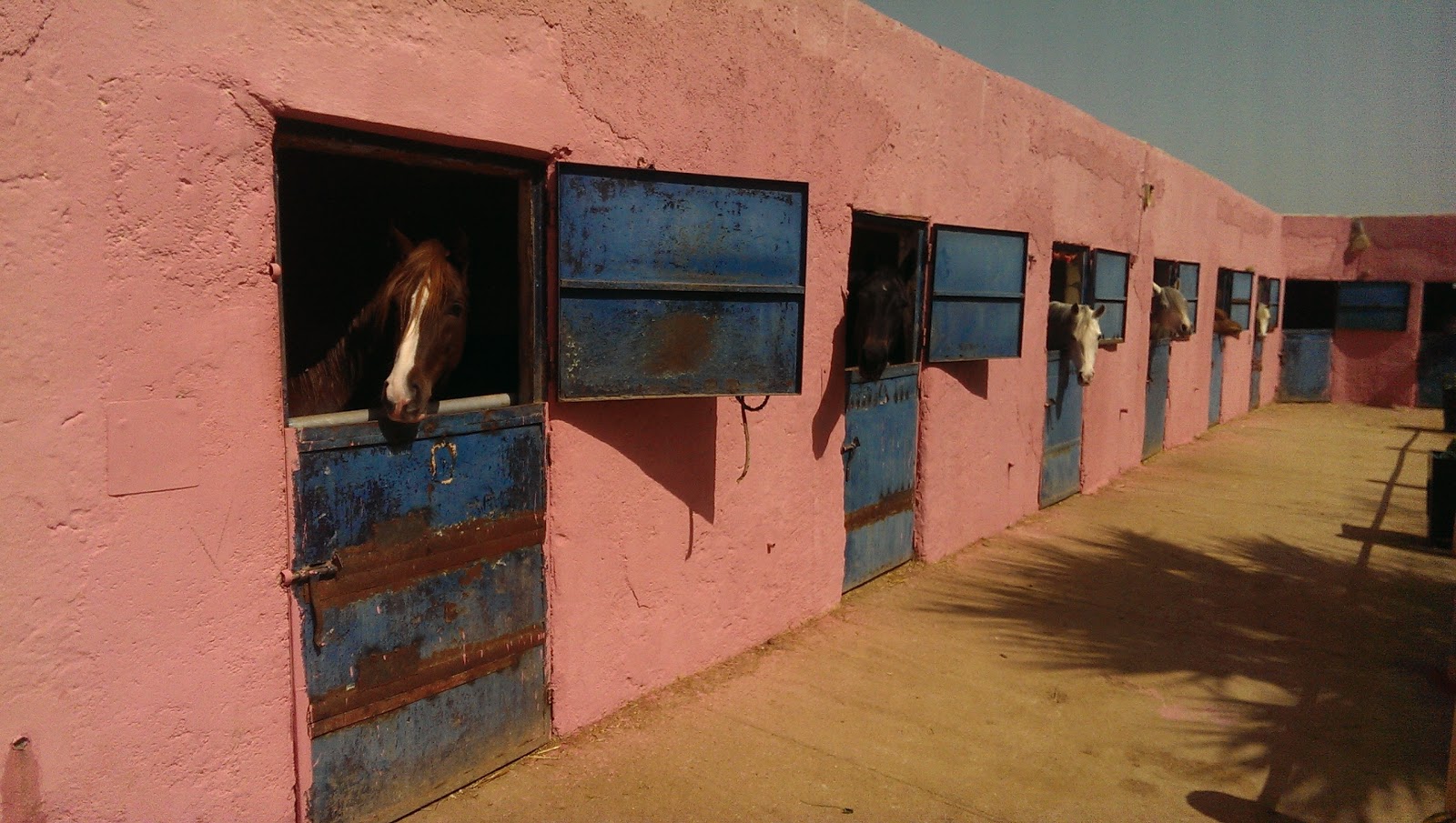 Club De Cheval Sidi Mohamed Ben Abdellah - Fès