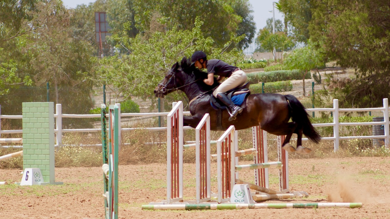Club equestre et tir au vol youssoufia - Youssoufia - +212 642-514552