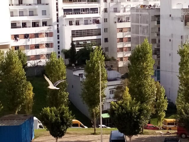 GYM ZIDANE - Tanger - +212 687-540867