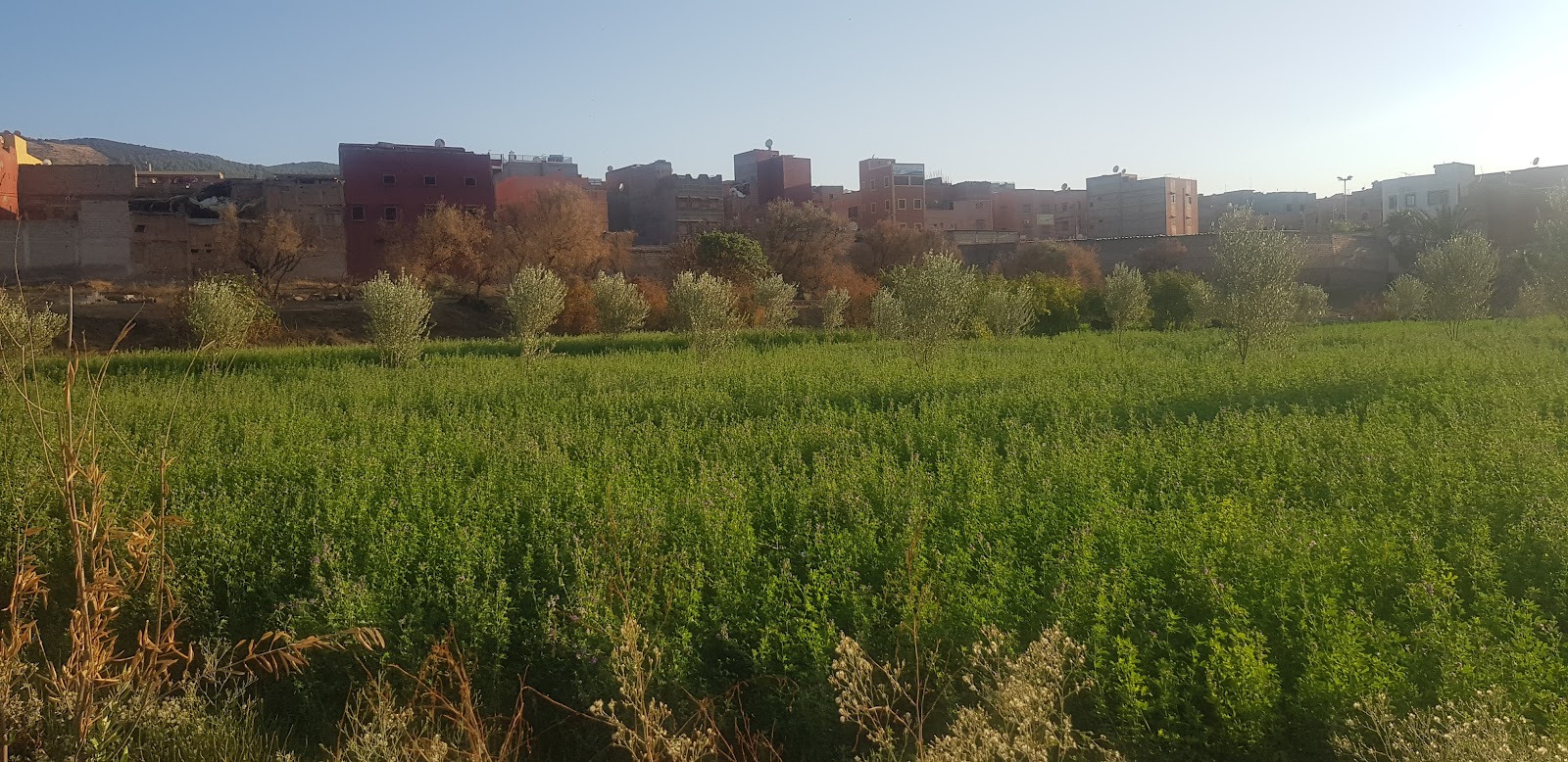 Ait Helili - Demnate -