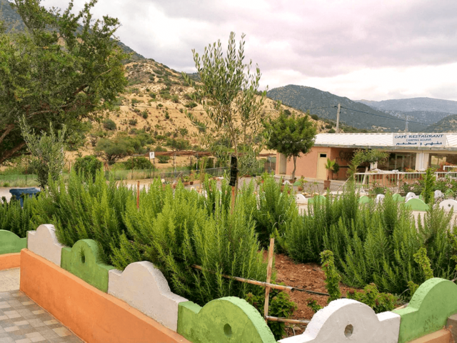 Camping Aourir - Aourir - +212 648-977661