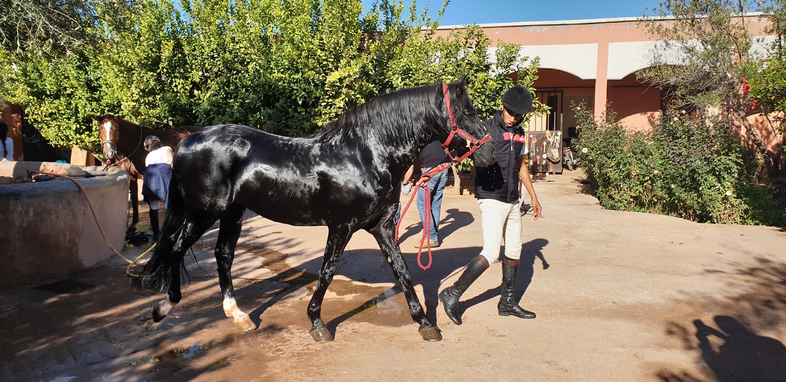 Ecuries Cecile Roubaud - Marrakech