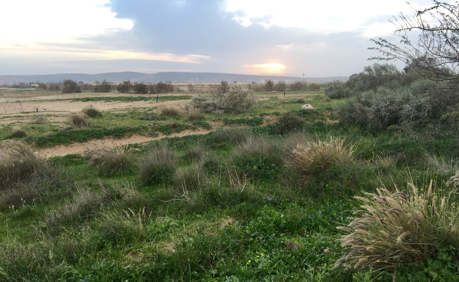 Golf Teelal Saidia - Saïdia