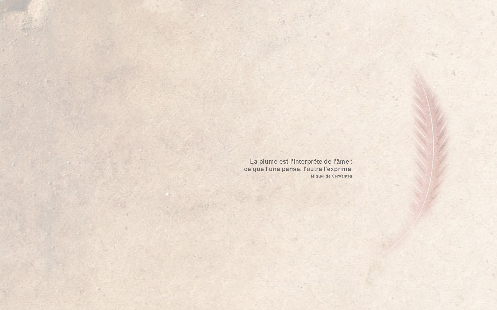 Plume Studio - Casablanca