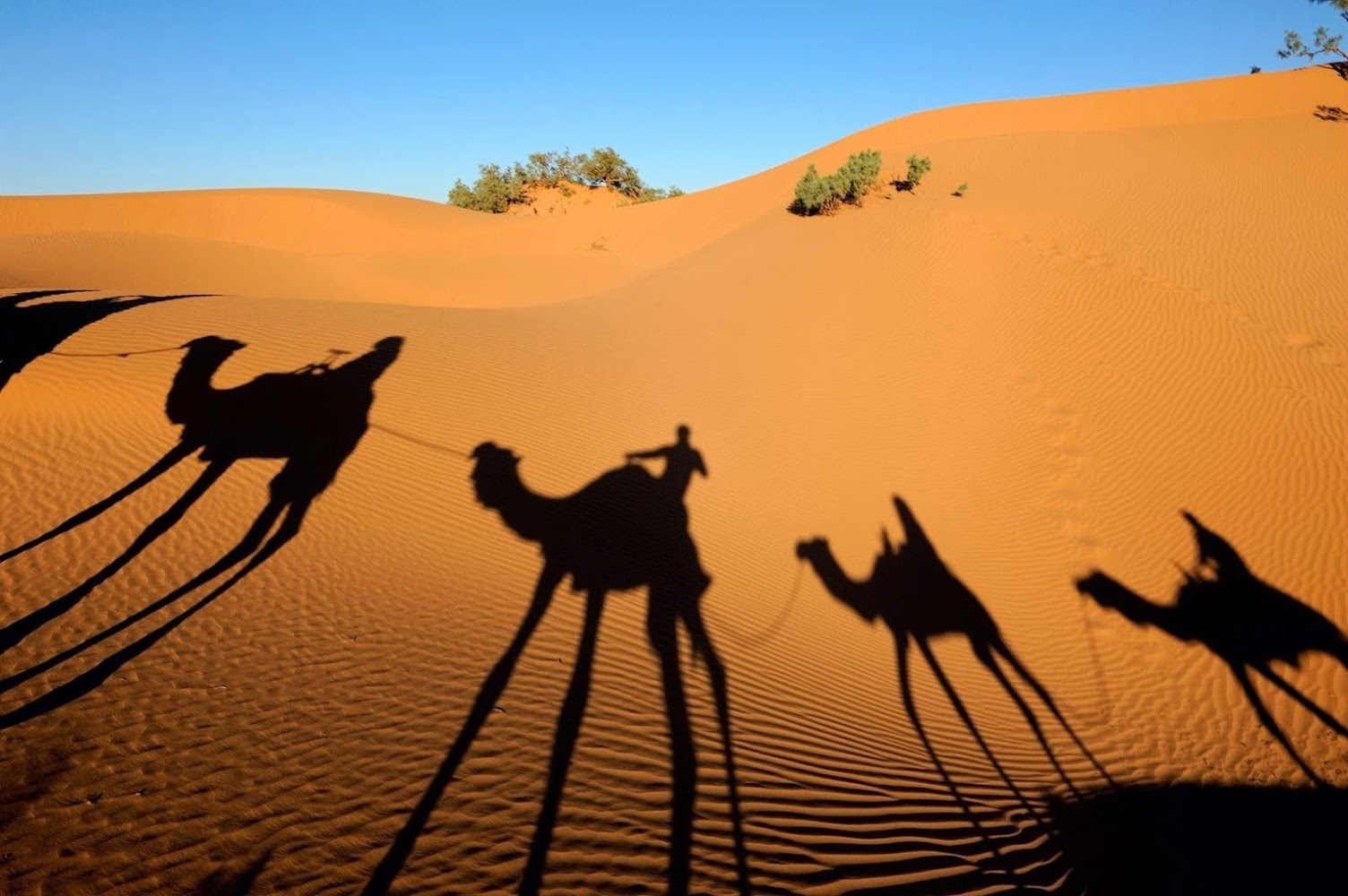 Morocco Desert Tour From Marrakech - Marrakech Tour Operator - Marrakech