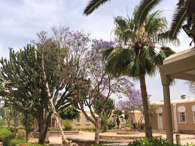 Institut des Techniciens Spécialisés en Agriculture - Oulad Teima - +212 5285-28261