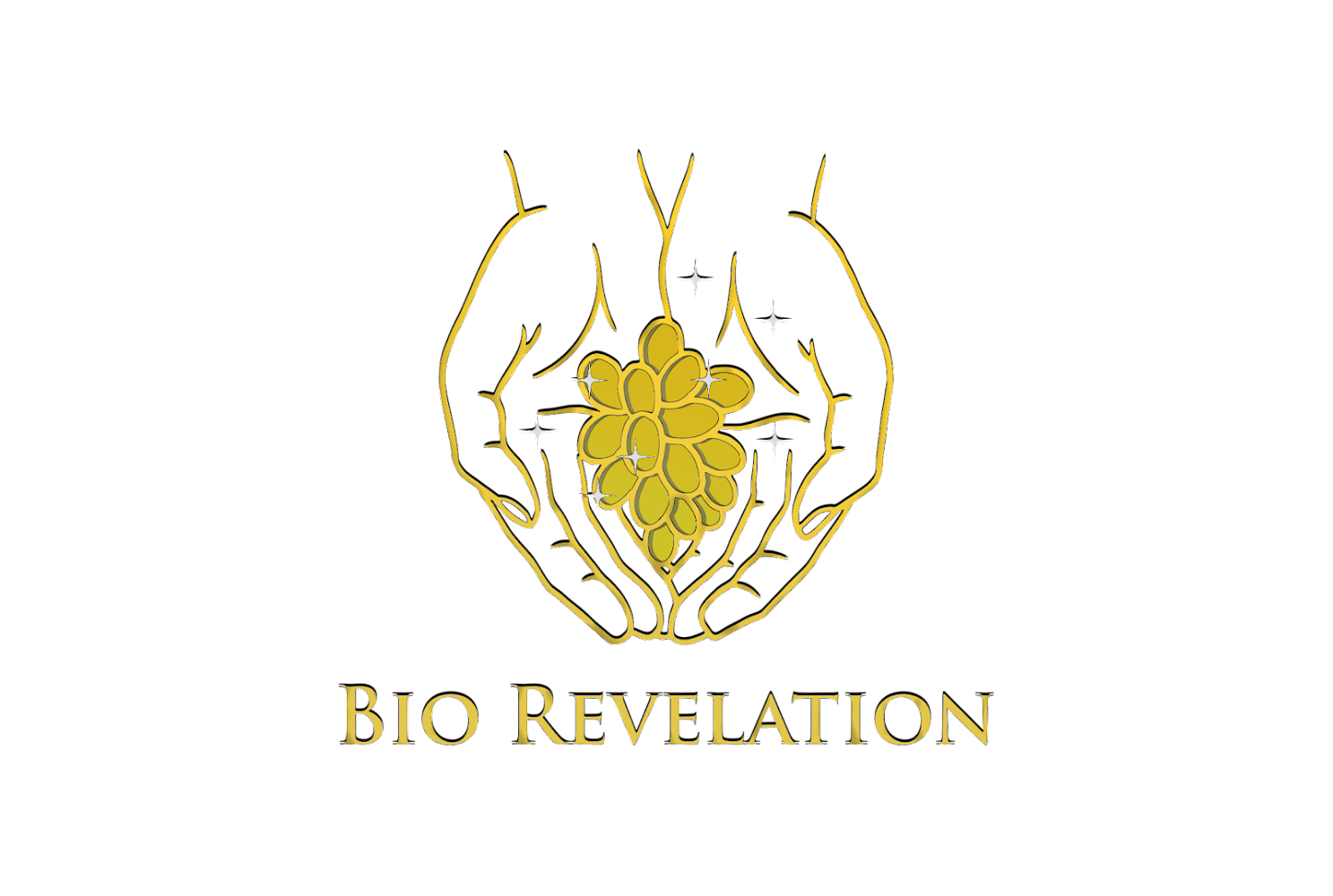 Bio Revelation - Rabat