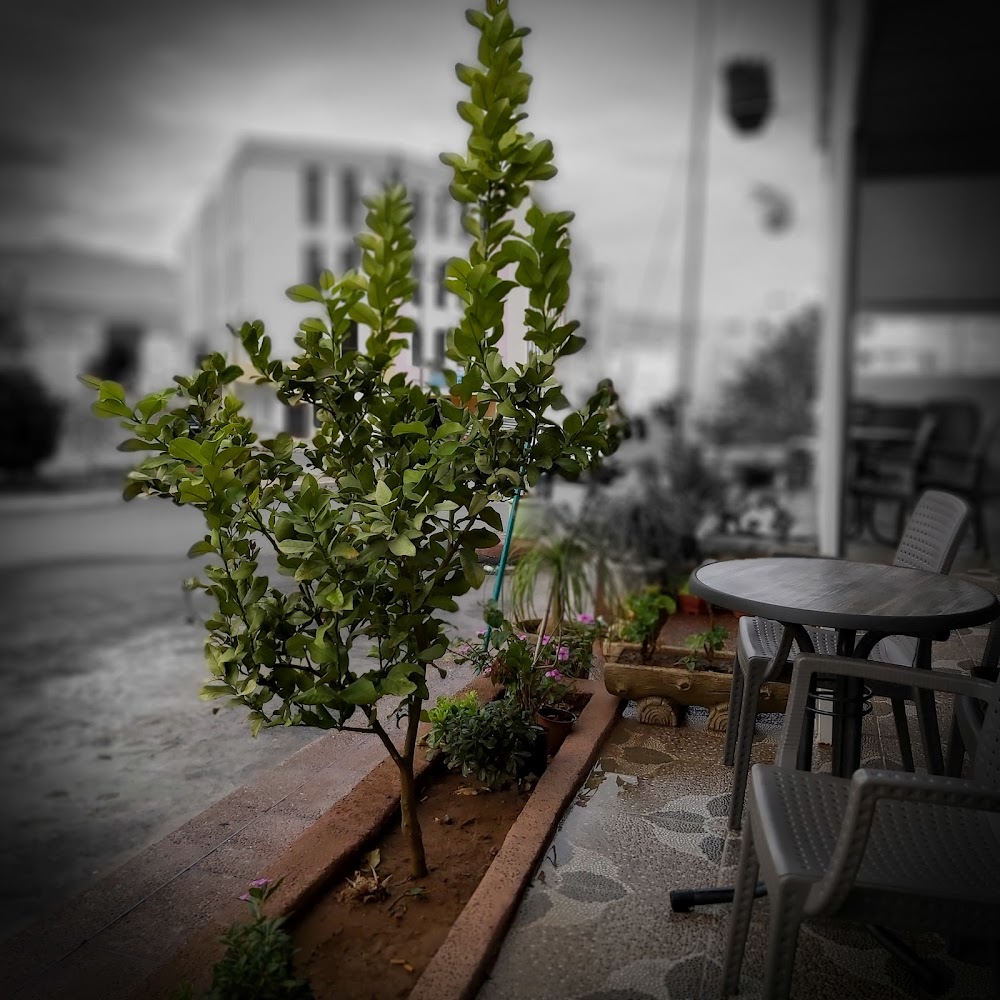 Café Brown House - Tazaa