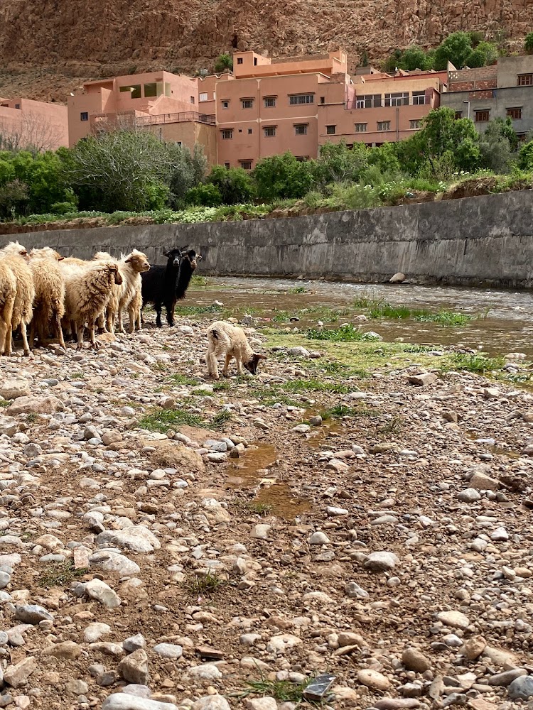 Les Champs d'Ait Oussalem - Tinghir