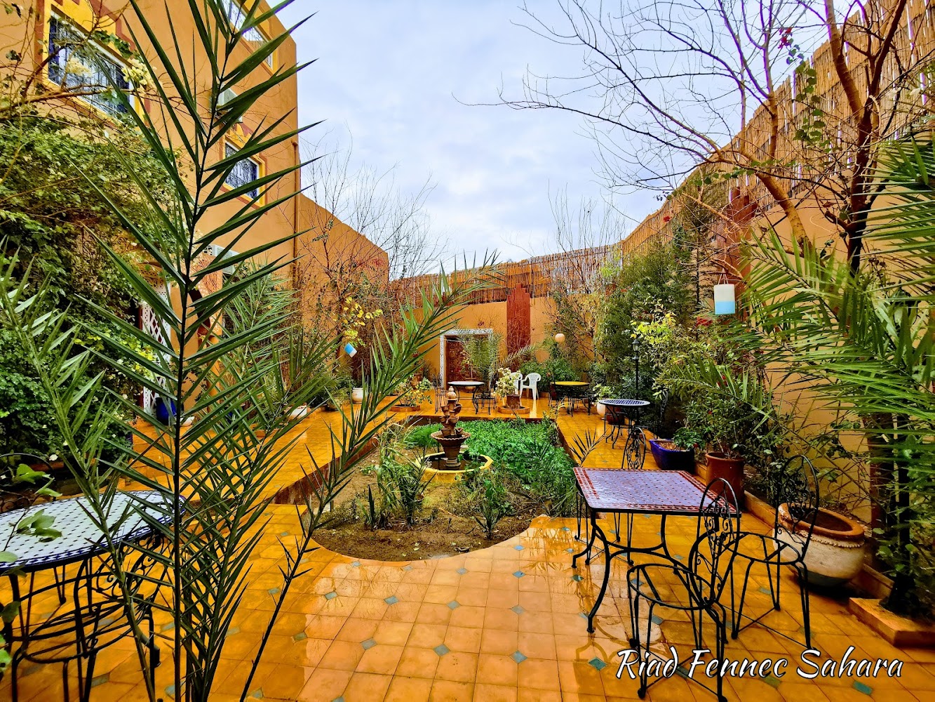 Riad fennec sahara - Zagora