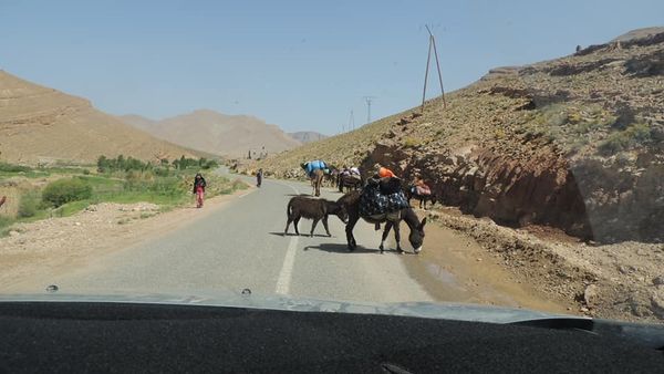 Maroc Tourisme - Fès - +212 630-186095