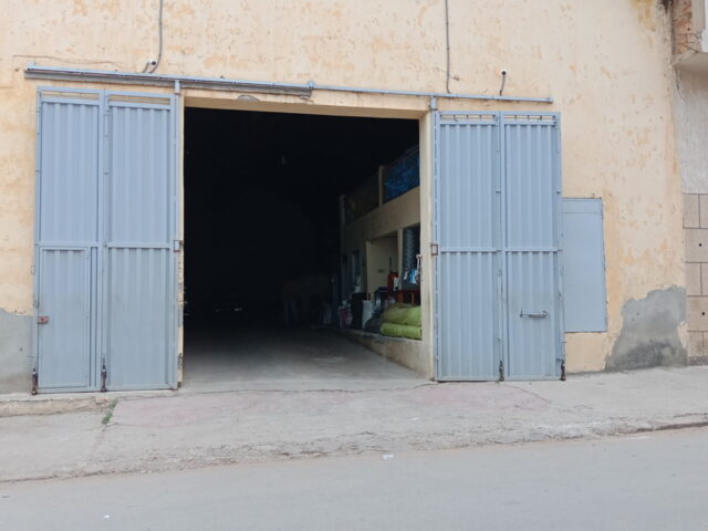 Grain Elkanouni - Sidi Kacem - +212 605-078012