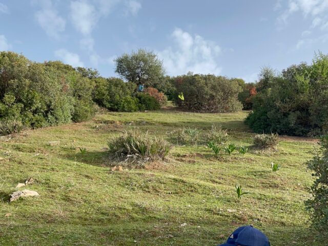 Mont Amaden Awassar - Khémisset - +212 600-777517
