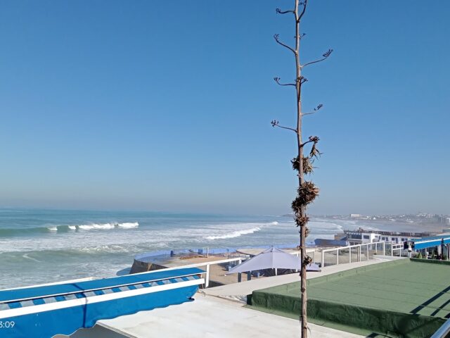 Piscine Tropicana - Casablanca - +212 5227-97596