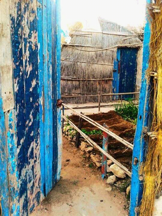 Tchabola - Essaouira
