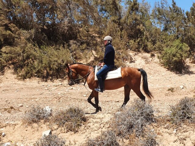 Equi Evasion - Essaouira - +212 666-780561