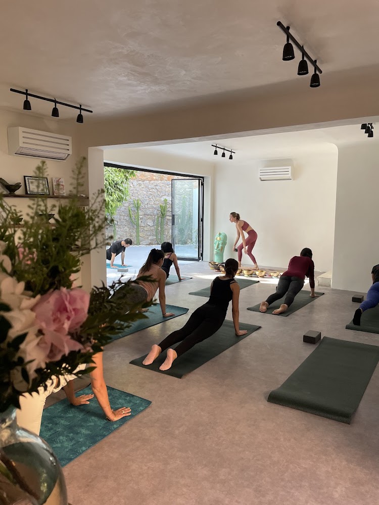 Root holistic center - Marrakech