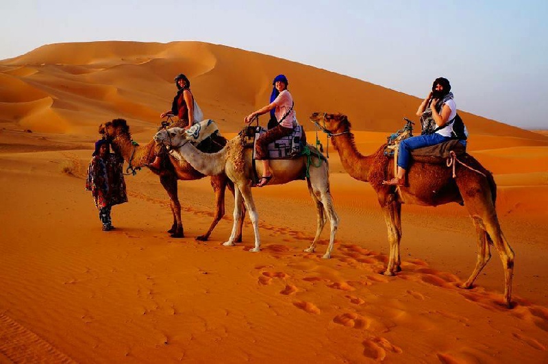 Marrakech Tour - Marrakech