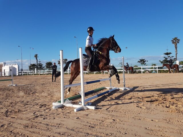 Royal Club Equestre - El Jadida - +212 700-102200