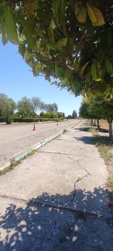Jouhara Auto Ecole - Dar Gueddari