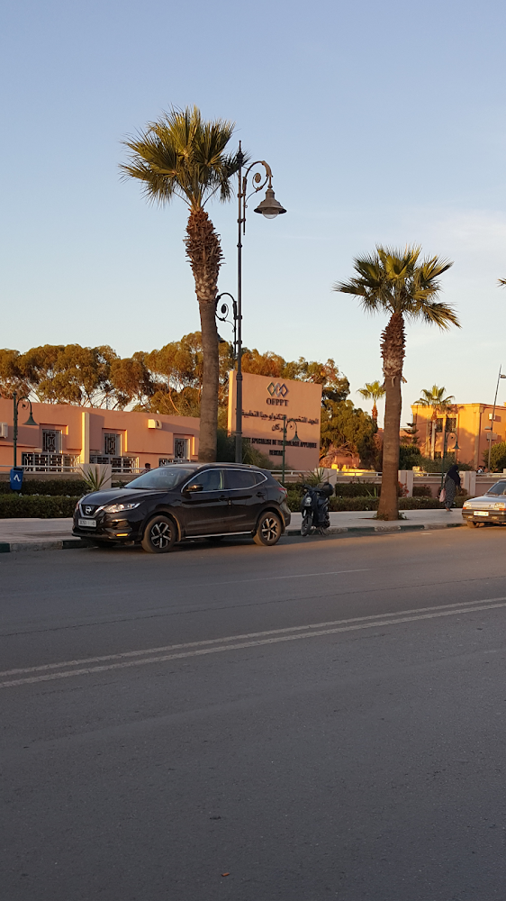 Institut Spécialisé de Technologie Appliquée - BERKANE - Berkane