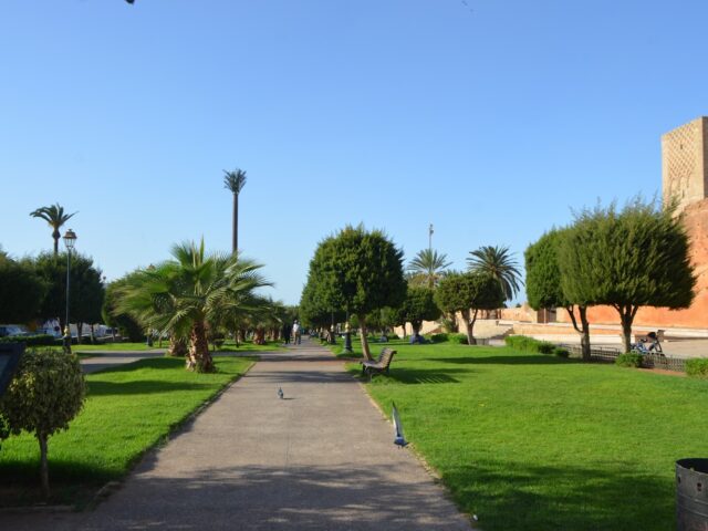 Souissi Rabat - Rabat -