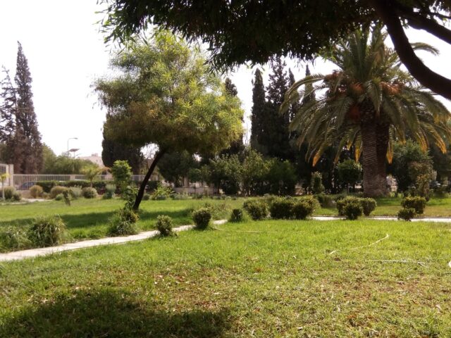 Piste Parc Municipal - Oujda -