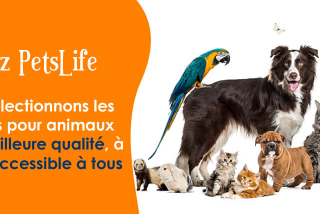 Pets Life - Meknès - +212 660-124911