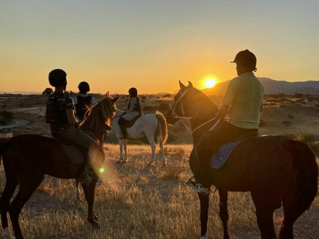Zaio Équitation - Zaio - +212 638-491481