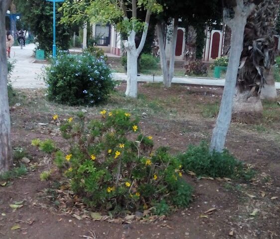 Supérette HMIMIDI - Sidi Slimane - +212 661-251661