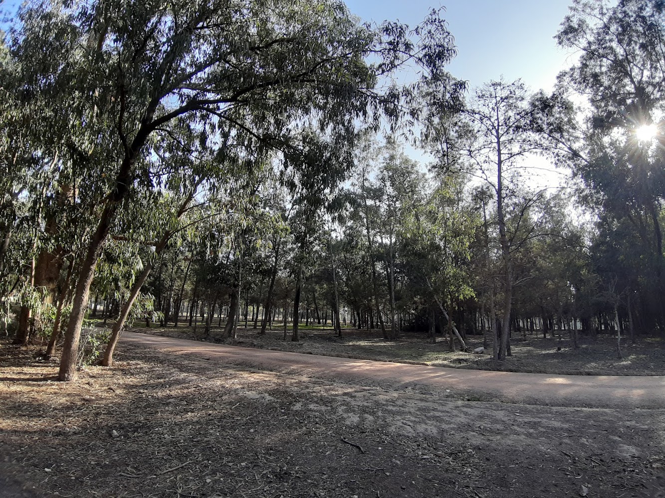 Forêt de Bouskoura - Bouskoura - +212 5224-85362
