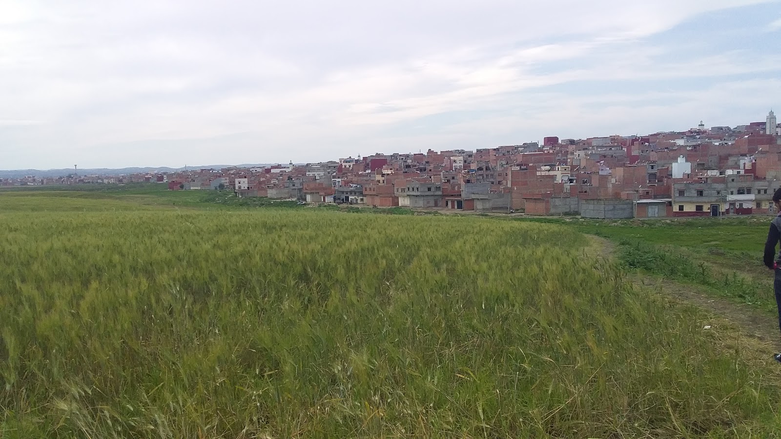 ملعب بشويكة - Ksar El-Kébir