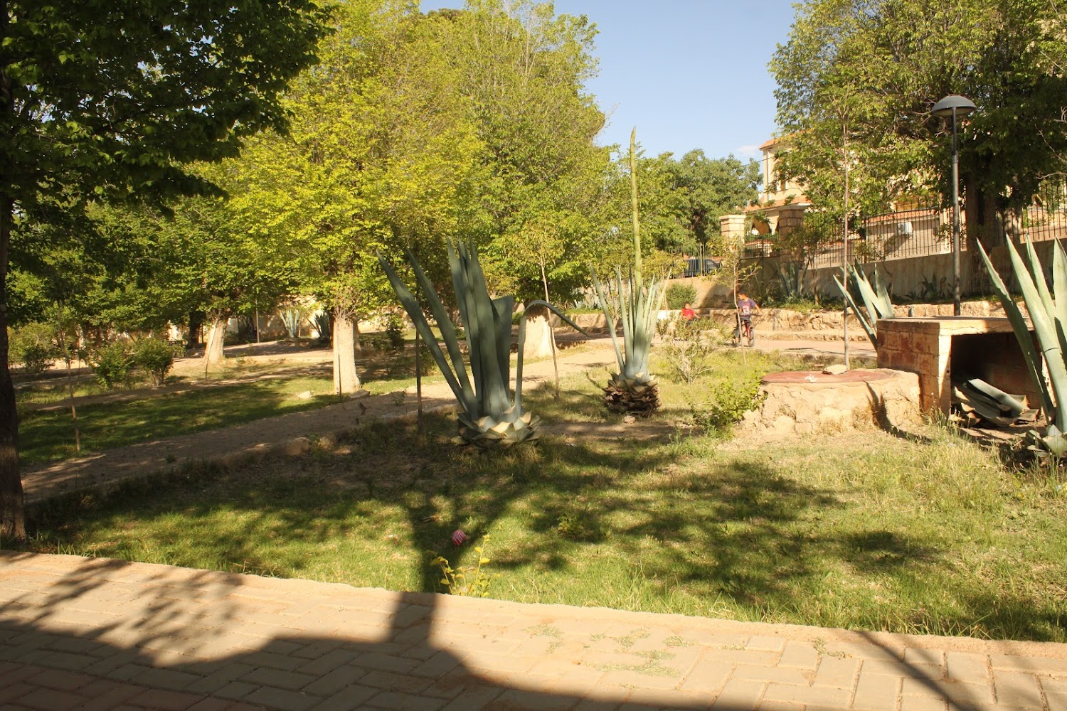 Jardin Public - Midelt