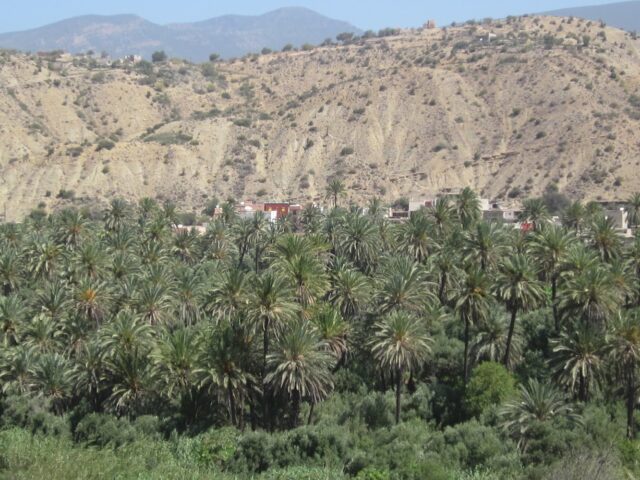 Best Ride Tours - Agadir - +212 661-178061
