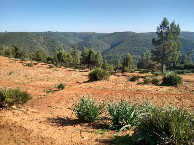 CHEZ YASSINE IFRANE RANDONNEE - Ifrane - +212 695-564308