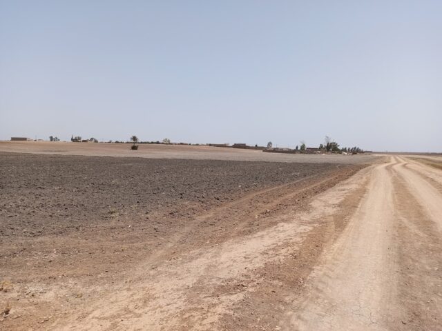 معلب الله يحسن لعوان - Ouled Houmane -