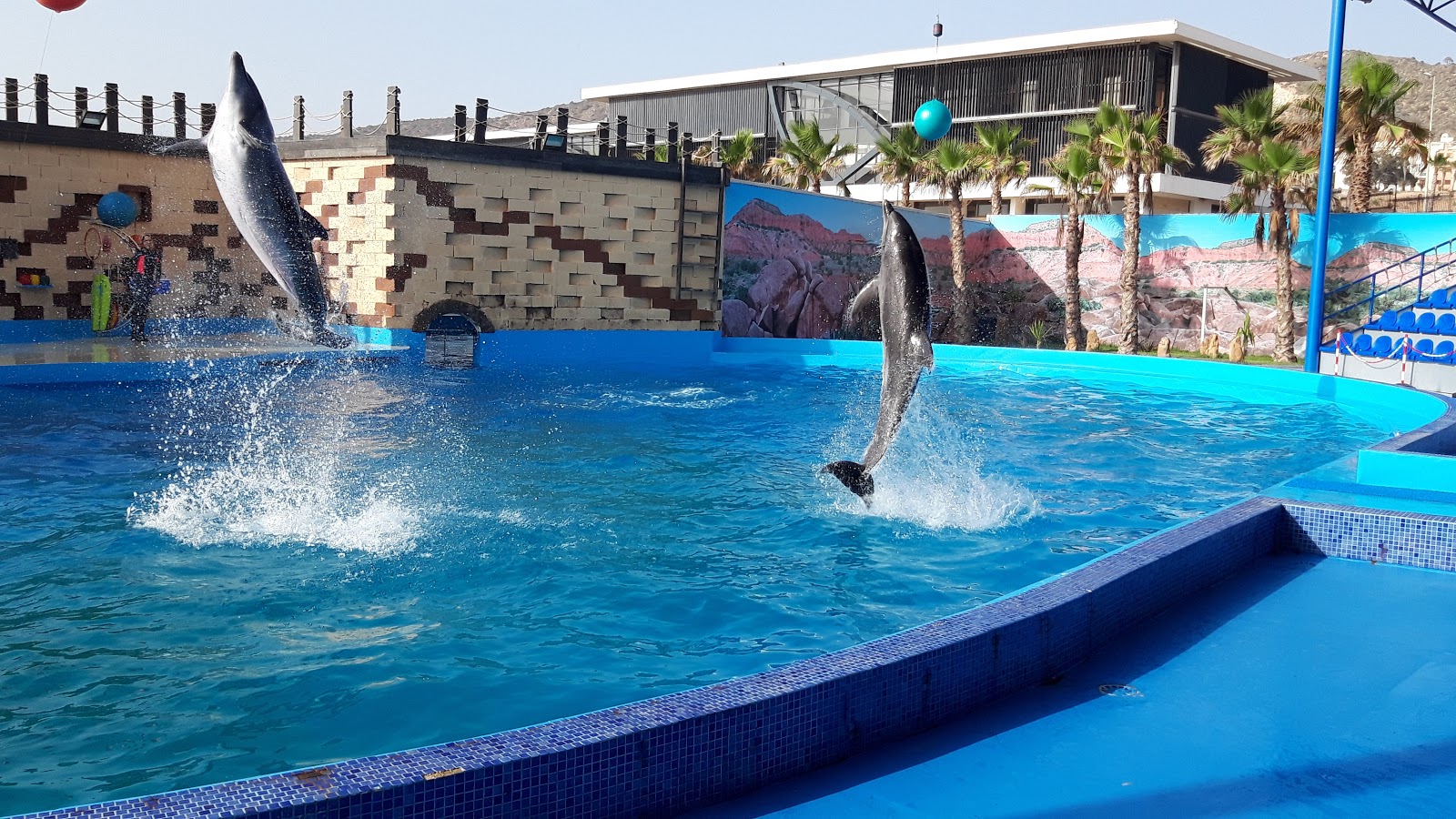Agadir Dolphin World - Agadir